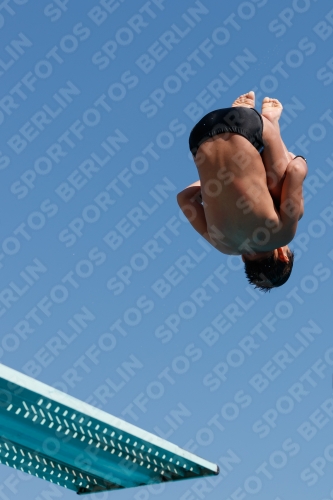 2017 - 8. Sofia Diving Cup 2017 - 8. Sofia Diving Cup 03012_00083.jpg