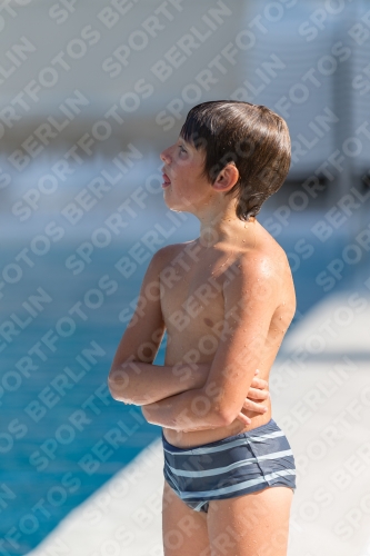 2017 - 8. Sofia Diving Cup 2017 - 8. Sofia Diving Cup 03012_00146.jpg