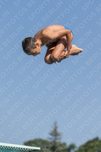 2017 - 8. Sofia Diving Cup 2017 - 8. Sofia Diving Cup 03012_00163.jpg