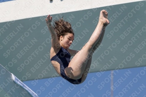 2017 - 8. Sofia Diving Cup 2017 - 8. Sofia Diving Cup 03012_00173.jpg