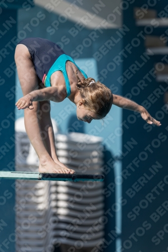 2017 - 8. Sofia Diving Cup 2017 - 8. Sofia Diving Cup 03012_00184.jpg