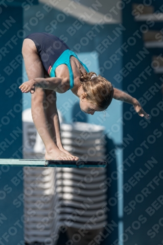 2017 - 8. Sofia Diving Cup 2017 - 8. Sofia Diving Cup 03012_00185.jpg