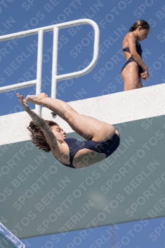 2017 - 8. Sofia Diving Cup 2017 - 8. Sofia Diving Cup 03012_00189.jpg