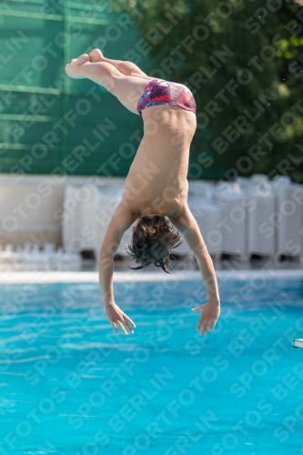 2017 - 8. Sofia Diving Cup 2017 - 8. Sofia Diving Cup 03012_00239.jpg