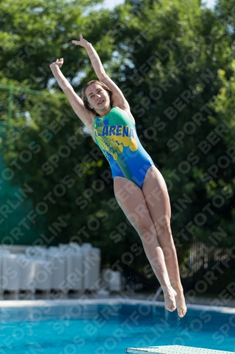 2017 - 8. Sofia Diving Cup 2017 - 8. Sofia Diving Cup 03012_00277.jpg