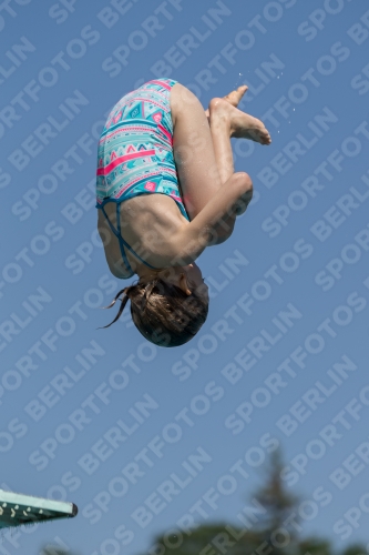 2017 - 8. Sofia Diving Cup 2017 - 8. Sofia Diving Cup 03012_00372.jpg