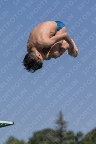 2017 - 8. Sofia Diving Cup 2017 - 8. Sofia Diving Cup 03012_00376.jpg