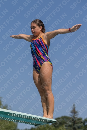 2017 - 8. Sofia Diving Cup 2017 - 8. Sofia Diving Cup 03012_00377.jpg