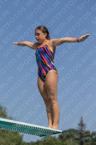 2017 - 8. Sofia Diving Cup 2017 - 8. Sofia Diving Cup 03012_00378.jpg