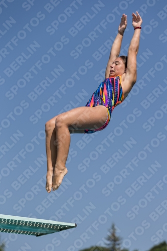 2017 - 8. Sofia Diving Cup 2017 - 8. Sofia Diving Cup 03012_00380.jpg
