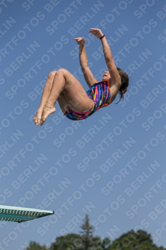 2017 - 8. Sofia Diving Cup 2017 - 8. Sofia Diving Cup 03012_00381.jpg
