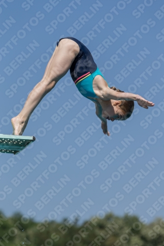 2017 - 8. Sofia Diving Cup 2017 - 8. Sofia Diving Cup 03012_00404.jpg