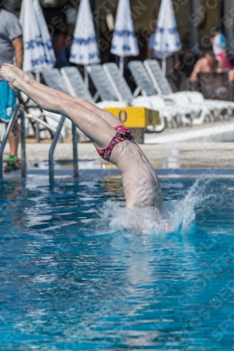 2017 - 8. Sofia Diving Cup 2017 - 8. Sofia Diving Cup 03012_00428.jpg