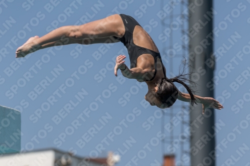 2017 - 8. Sofia Diving Cup 2017 - 8. Sofia Diving Cup 03012_00436.jpg