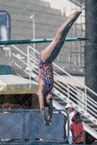 2017 - 8. Sofia Diving Cup 2017 - 8. Sofia Diving Cup 03012_00451.jpg