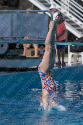 2017 - 8. Sofia Diving Cup 2017 - 8. Sofia Diving Cup 03012_00453.jpg