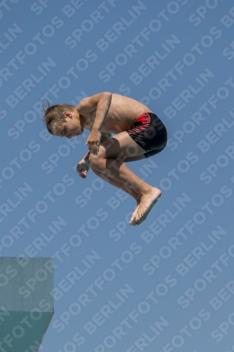 2017 - 8. Sofia Diving Cup 2017 - 8. Sofia Diving Cup 03012_00471.jpg