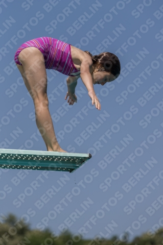 2017 - 8. Sofia Diving Cup 2017 - 8. Sofia Diving Cup 03012_00473.jpg