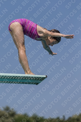 2017 - 8. Sofia Diving Cup 2017 - 8. Sofia Diving Cup 03012_00474.jpg