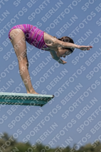 2017 - 8. Sofia Diving Cup 2017 - 8. Sofia Diving Cup 03012_00475.jpg