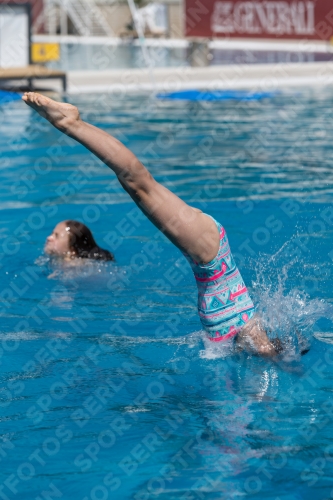 2017 - 8. Sofia Diving Cup 2017 - 8. Sofia Diving Cup 03012_00496.jpg