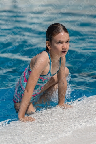 2017 - 8. Sofia Diving Cup 2017 - 8. Sofia Diving Cup 03012_00498.jpg