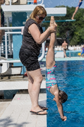 2017 - 8. Sofia Diving Cup 2017 - 8. Sofia Diving Cup 03012_00504.jpg