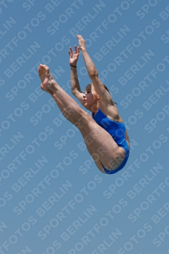 2017 - 8. Sofia Diving Cup 2017 - 8. Sofia Diving Cup 03012_00527.jpg