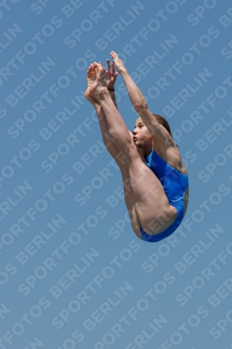 2017 - 8. Sofia Diving Cup 2017 - 8. Sofia Diving Cup 03012_00528.jpg