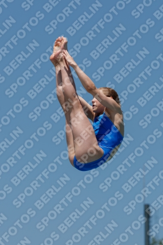 2017 - 8. Sofia Diving Cup 2017 - 8. Sofia Diving Cup 03012_00529.jpg