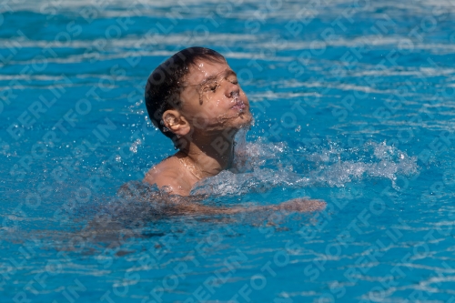 2017 - 8. Sofia Diving Cup 2017 - 8. Sofia Diving Cup 03012_00548.jpg