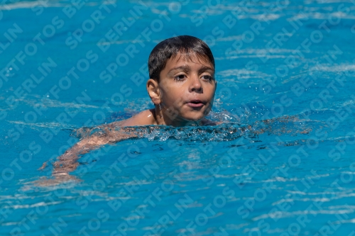 2017 - 8. Sofia Diving Cup 2017 - 8. Sofia Diving Cup 03012_00549.jpg