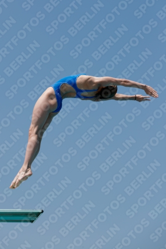 2017 - 8. Sofia Diving Cup 2017 - 8. Sofia Diving Cup 03012_00557.jpg