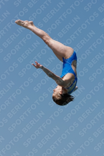 2017 - 8. Sofia Diving Cup 2017 - 8. Sofia Diving Cup 03012_00560.jpg