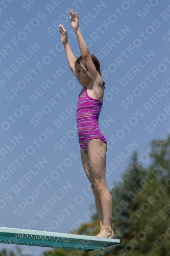 2017 - 8. Sofia Diving Cup 2017 - 8. Sofia Diving Cup 03012_00569.jpg