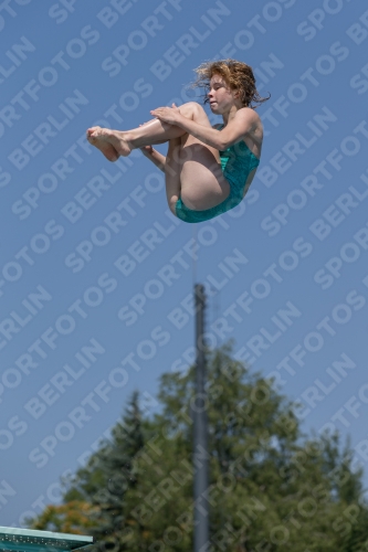 2017 - 8. Sofia Diving Cup 2017 - 8. Sofia Diving Cup 03012_00578.jpg