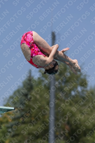 2017 - 8. Sofia Diving Cup 2017 - 8. Sofia Diving Cup 03012_00583.jpg