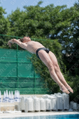 2017 - 8. Sofia Diving Cup 2017 - 8. Sofia Diving Cup 03012_00636.jpg