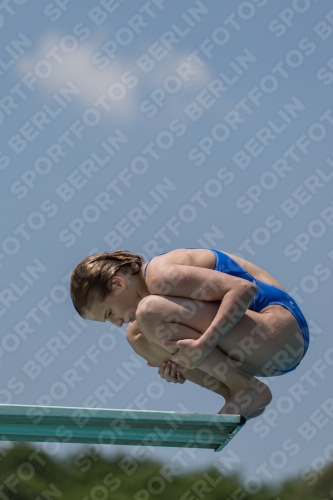 2017 - 8. Sofia Diving Cup 2017 - 8. Sofia Diving Cup 03012_00701.jpg