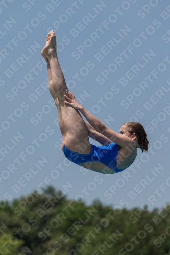 2017 - 8. Sofia Diving Cup 2017 - 8. Sofia Diving Cup 03012_00702.jpg