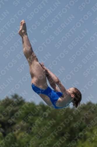 2017 - 8. Sofia Diving Cup 2017 - 8. Sofia Diving Cup 03012_00703.jpg