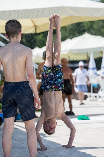2017 - 8. Sofia Diving Cup 2017 - 8. Sofia Diving Cup 03012_00762.jpg