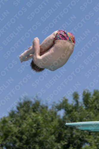 2017 - 8. Sofia Diving Cup 2017 - 8. Sofia Diving Cup 03012_00830.jpg