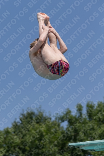 2017 - 8. Sofia Diving Cup 2017 - 8. Sofia Diving Cup 03012_00831.jpg