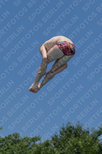 2017 - 8. Sofia Diving Cup 2017 - 8. Sofia Diving Cup 03012_00894.jpg
