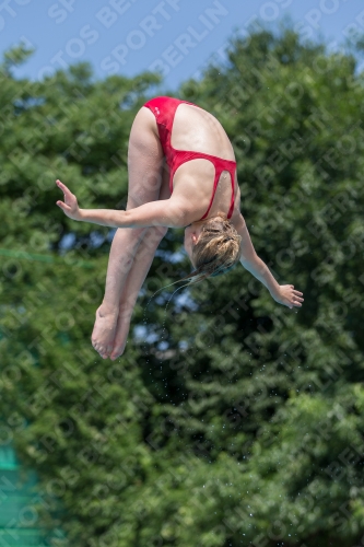 2017 - 8. Sofia Diving Cup 2017 - 8. Sofia Diving Cup 03012_00968.jpg