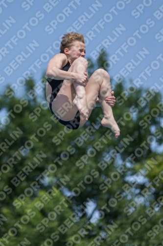 2017 - 8. Sofia Diving Cup 2017 - 8. Sofia Diving Cup 03012_00985.jpg