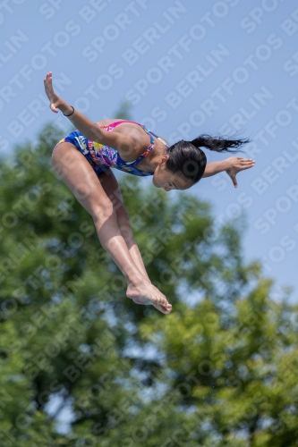 2017 - 8. Sofia Diving Cup 2017 - 8. Sofia Diving Cup 03012_00992.jpg