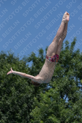 2017 - 8. Sofia Diving Cup 2017 - 8. Sofia Diving Cup 03012_01002.jpg