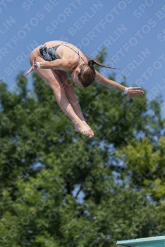 2017 - 8. Sofia Diving Cup 2017 - 8. Sofia Diving Cup 03012_01014.jpg